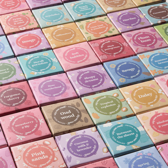 The ULTIMATE Wax Melt Snap Bar 50 x Samples Box perfect gift.